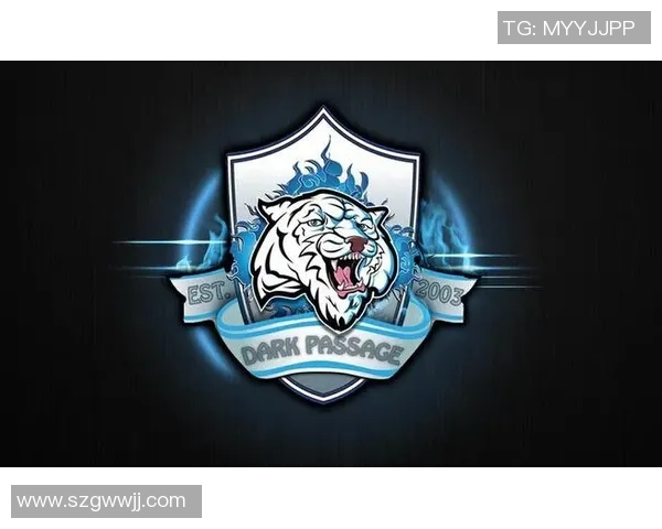 英雄联盟专题深入解析WE战队的实力与战术布局